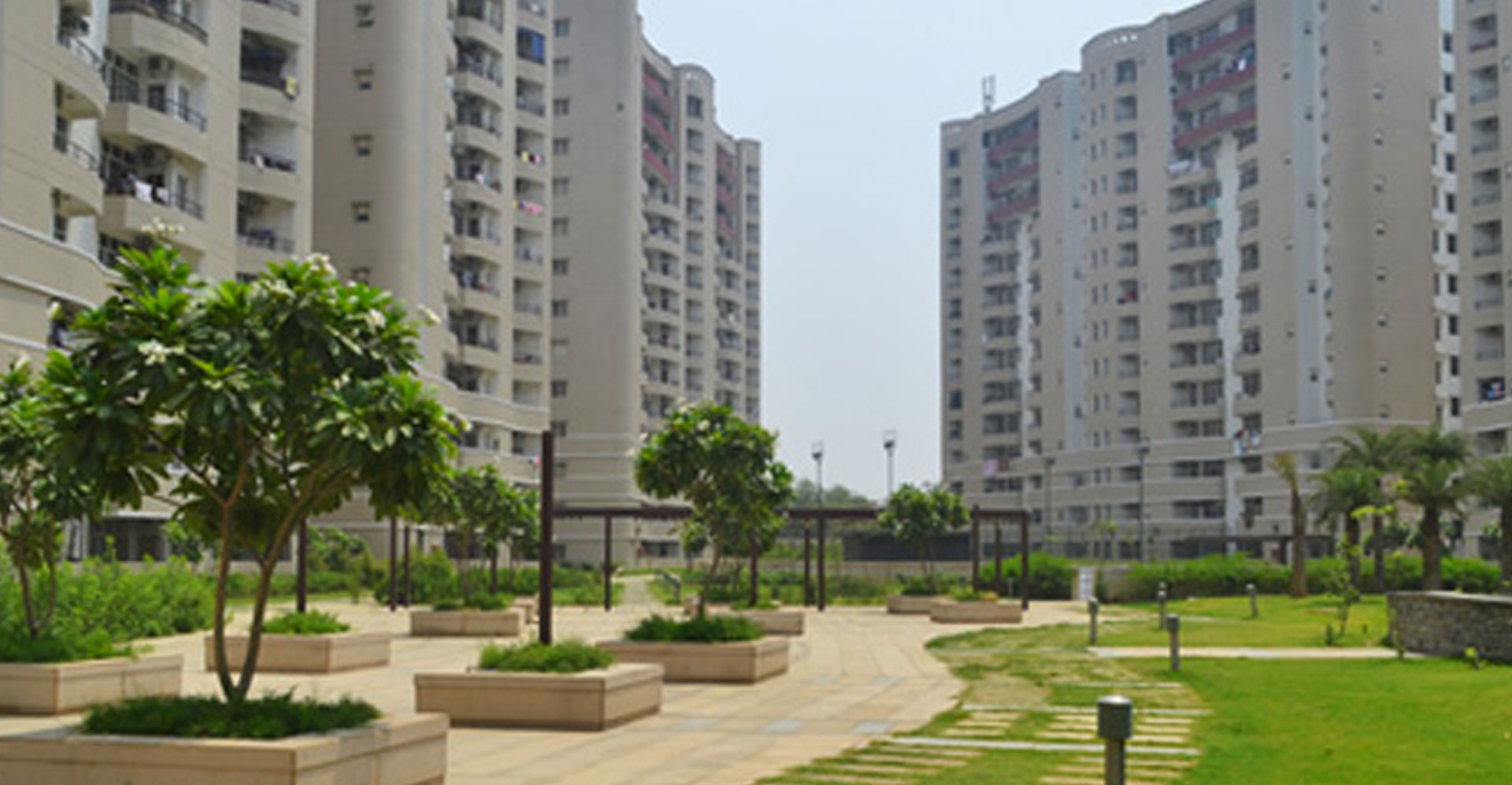 Olive County residential development by MKS Ventures